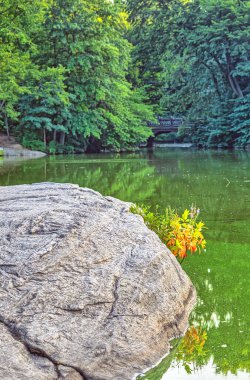 Central Park 'taki gölde, New York City, Manhattan