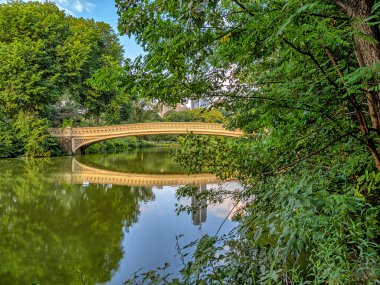 Bow Köprüsü, Central Park, New York Yazın sonlarında sabahın erken saatlerinde