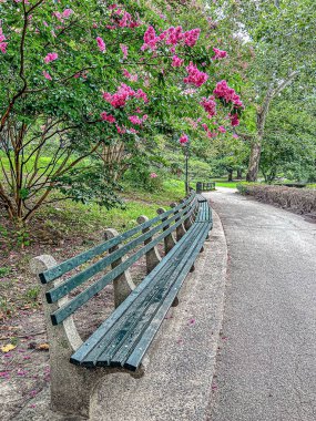 Yazın New York 'ta Central Park