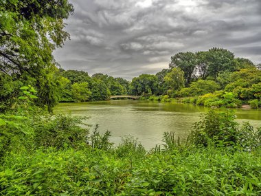 Bow Köprüsü, Central Park, New York Yazın sonlarında sabahın erken saatlerinde