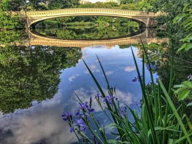 Pruva köprüsü, Central Park, New York, ilkbahar sabahı