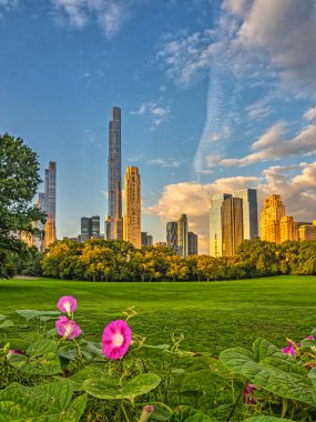 Sheep Meadow is a 15-acre meadow near the southwestern section of Central Park from 66th to 69th streets in Manhattan, New York City clipart