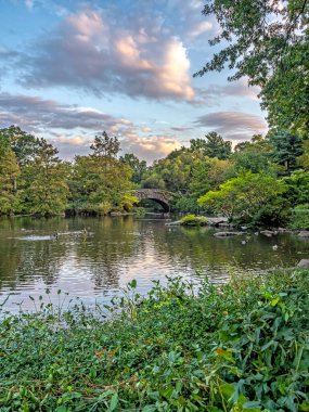 Central Park 'taki Gapstow Köprüsü Sonbaharın başlarında, sabah