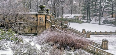 Bethesda Terrace ve Fountain, New York 'un Central Park' ındaki göle bakan iki mimari özelliktir..