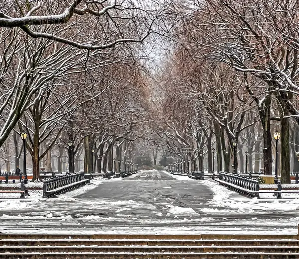 Central Park 'taki alışveriş merkezi, New York.