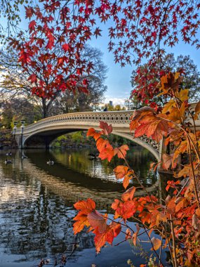 Pruva köprüsü, Central Park, New York. Sonbaharın sonlarında sabah erken saatlerde yağmurdan sonra.