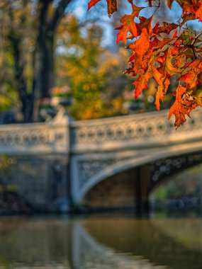 Pruva köprüsü, Central Park, New York. Sonbaharın sonlarında sabah erken saatlerde yağmurdan sonra.