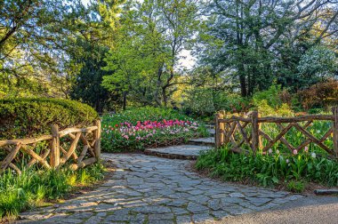 Central Park 'ta bahar, New York' ta Shakespeare Bahçesi 'nde sabahın erken saatlerinde