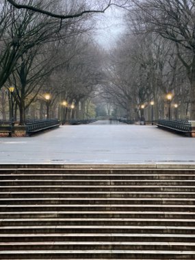 Central Park 'taki alışveriş merkezi, New York.