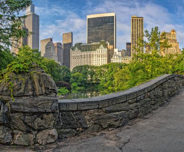 Central Park 'taki Gapstow Köprüsü, yazın erken saatlerinde.