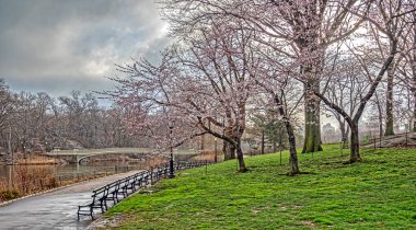 Baharda Central Park 'ta, New York City' de ilkbaharın başlarında, sabahın erken saatlerinde köprüde.