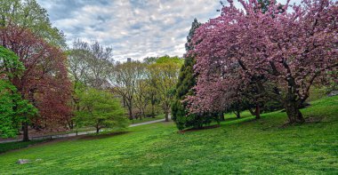 Central Park 'ta bahar, New York