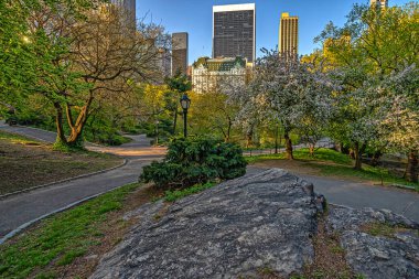 Spring in Central Park, New York City in early morning on sunny day clipart