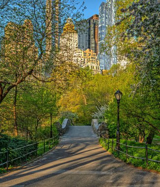 Central Park 'taki Gapstow Köprüsü ilkbaharın başlarında, güneşli bir günde sabah