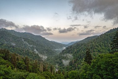 Great Smoky Mountains National Park, ABD 'nin güneydoğusunda Tennessee ve Kuzey Carolina' da bulunan bir ulusal parktır.