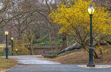 Central Park 'ta bahar, New York