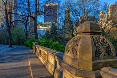 Central Park 'ta bahar, New York City' de, açık havada sabahın köründe.
