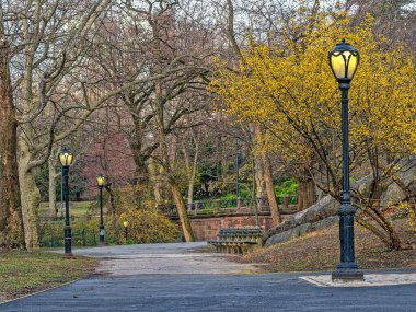 Central Park 'ta bahar, New York