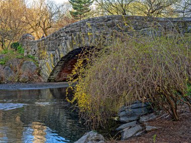 Baharın başında Central Park 'taki Gapstow Köprüsü