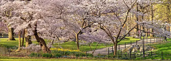 Central Park 'ta bahar, New York