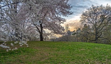 Central Park 'ta bahar, New York
