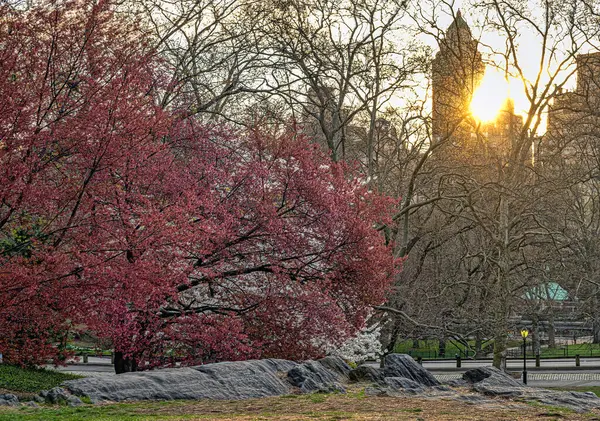 Central Park 'ta bahar, New York