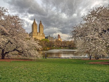 Central Park 'taki gölde, New York City, Manhattan