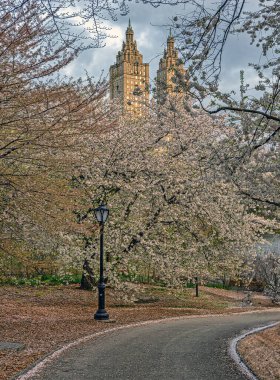 Central Park 'taki gölde, New York City, Manhattan