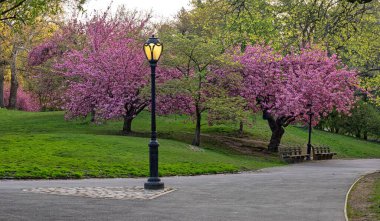 Central Park 'ta bahar, New York