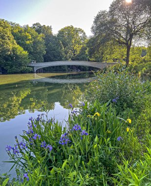 Pruva köprüsü, Central Park, New York