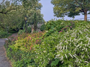 Jacqueline Kennedy Onassis Reservoir Central Park Rezervuarı