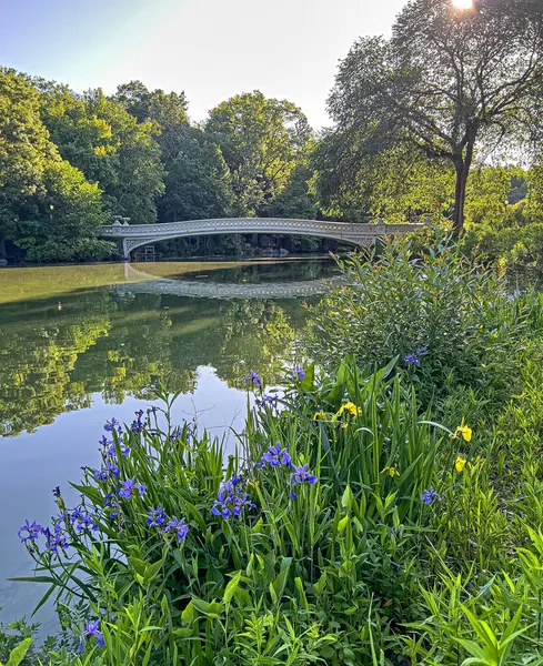 Pruva köprüsü, Central Park, New York