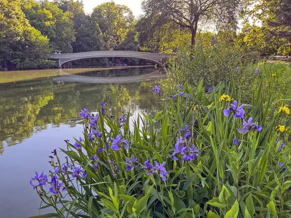 Pruva köprüsü, Central Park, New York