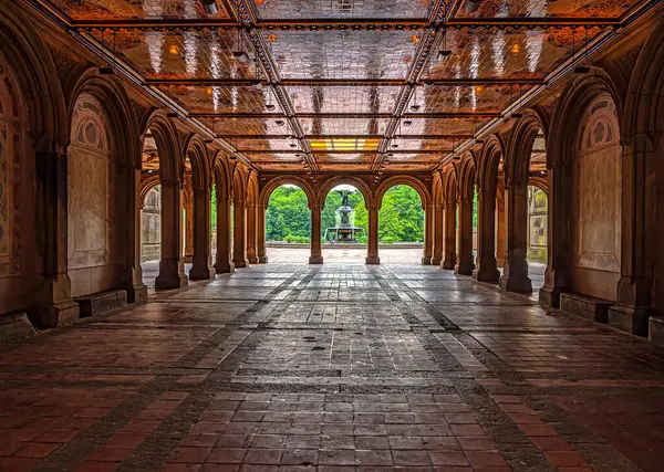 Bethesda Terrace ve Fountain, New York 'un Central Park' ındaki göle bakan iki mimari özelliktir..
