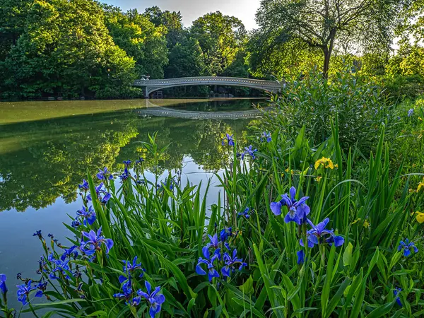 Pruva köprüsü, Central Park, New York