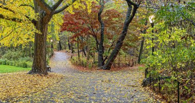 Central Park, Sonbaharda New York