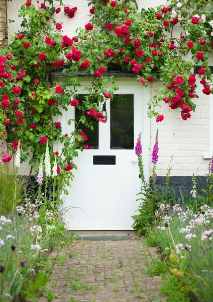 バッキンガムシャー イギリス 2022年6月3日 正面のドアの周りにバラを登ると英語のコテージハウスと庭の外観 イギリス イギリス — ストック写真