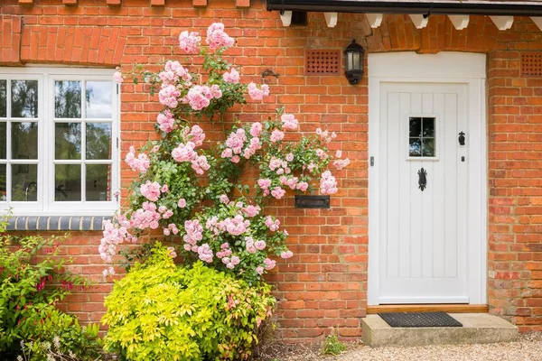 英国维多利亚时代的家庭外观与前门 木制窗玻璃和粉红色玫瑰灌木 — 图库照片