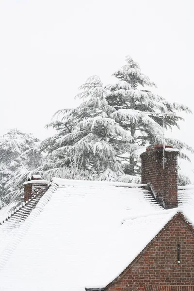 Winterszene Mit Schnee Auf Dem Dach Eines Vororthauses Während Eines — Stockfoto