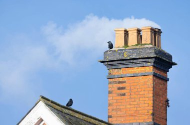 Wood smoke against a blue sky billowing from a brick chimney of an old UK house, with birds sitting on the roof.