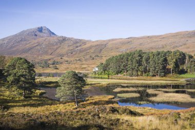 Göllü, ağaçlı ve dağlı Glen Affric manzarası. İskoçya, İskoçya, İngiltere