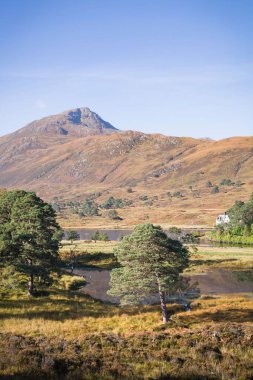 Göllü, ağaçlı ve dağlı Glen Affric manzarası. İskoçya, İskoçya, İngiltere