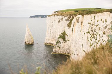 Pinnacle 'lar, Yaşlı Harry Rocks. Dorset, İngiltere 'deki UNESCO Dünya Mirasları Sahası, Jurassic Coast açıklarında deniz yığınları var.