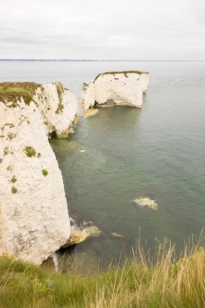 Stock image Old Harry Rocks. Chalk cliffs on the Jurassic Coast, UNESCO World Heritage Site in Dorset, UK