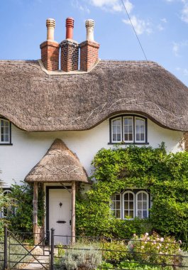 New Forest, Hampshire, İngiltere 'de oldukça beyaz sazdan bir kulübe.