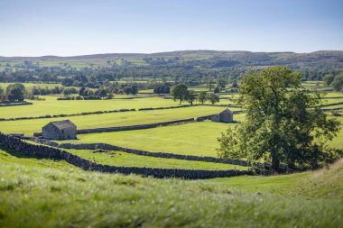 Wharfedale 'de taş ahır ve kuru taş duvarlı tarlalar. Grassington, Yorkshire Dales, İngiltere