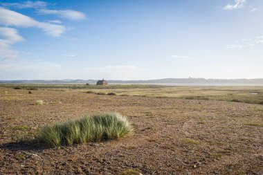 Marrams Doğa Koruma Merkezi, Blakeney Point, Norfolk, İngiltere, kıyı sulamaları, kiremit plajları ve mavi gökyüzünün altındaki çimlerle çevrili.