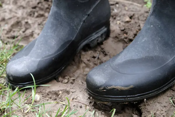 Çamurla kaplı, ıslak toprağa yerleştirilmiş eski siyah lastik botlar. Çiftçilik, bahçıvanlık ve açık hava işleri için kullanılan ayakkabılar. Dayanıklı ve su geçirmez. Çamurlu koşullarda ve kırsal alanlarda çalışmak için ideal..