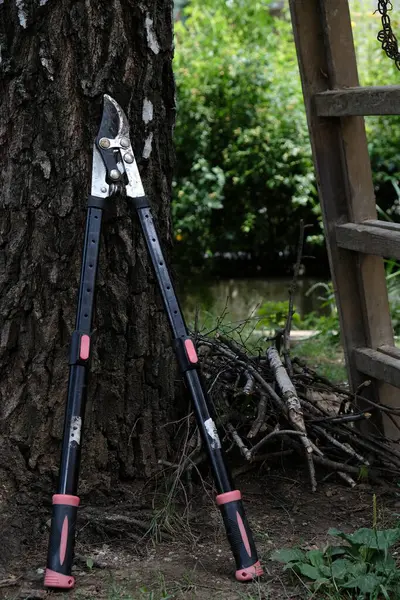 Ağaç dallarını kesmek ve budamak için tasarlanmış, uzatılabilir kulplu bir bahçe kesicisi. Alet kırsal bir arka bahçede bir ağaç gövdesinin üzerinde duruyor. Bahçe, peyzaj, ormancılık ve mevsimlik ağaç bakımı için ideal..