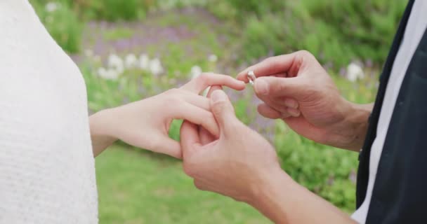 Vielseitiges Paar Hält Händchen Und Legt Ring Sonnigem Hochzeitstag Outdoor — Stockvideo